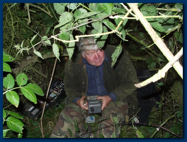 600x449 pixels (166K)